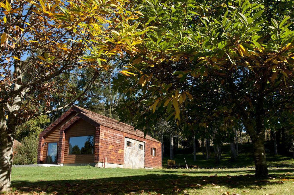 Cabanas Patagonia Lefun Pucón Exterior foto